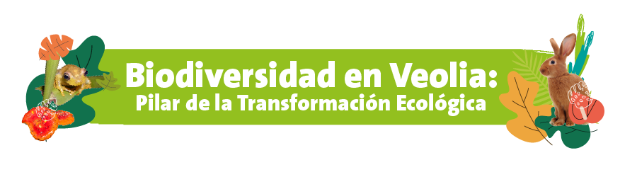 Veolia